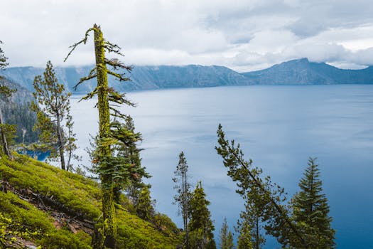 The Future of Travel Communities: Connecting Global Explorers Together